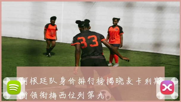 阿根廷队身价排行榜揭晓麦卡利斯特领衔梅西位列第九