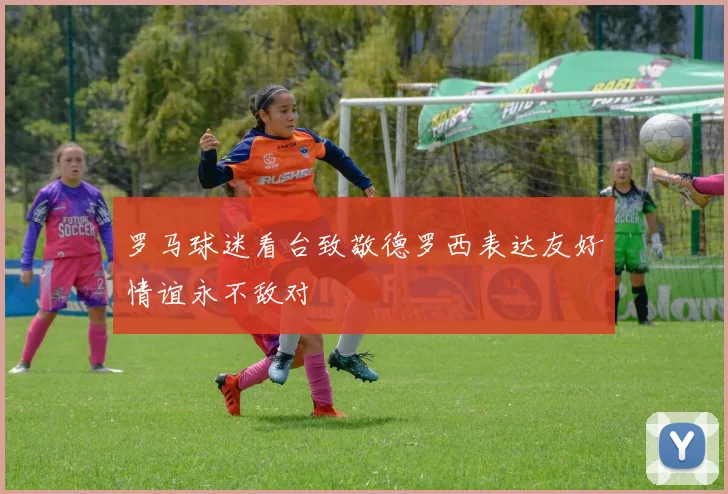 罗马球迷看台致敬德罗西表达友好情谊永不敌对