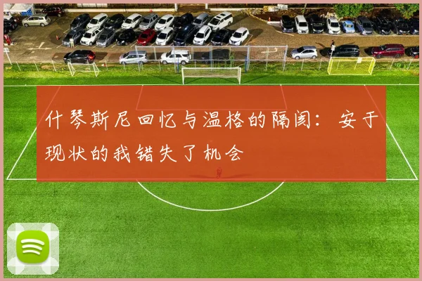 什琴斯尼回忆与温格的隔阂：安于现状的我错失了机会
